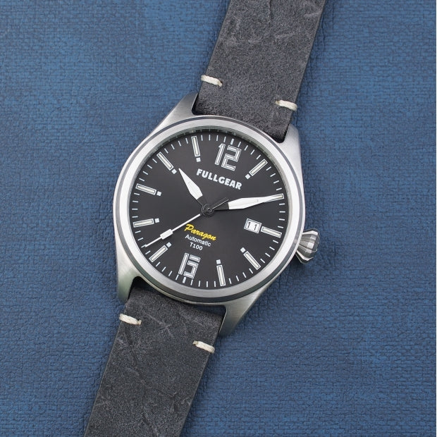 Pioneer Paragon Coal