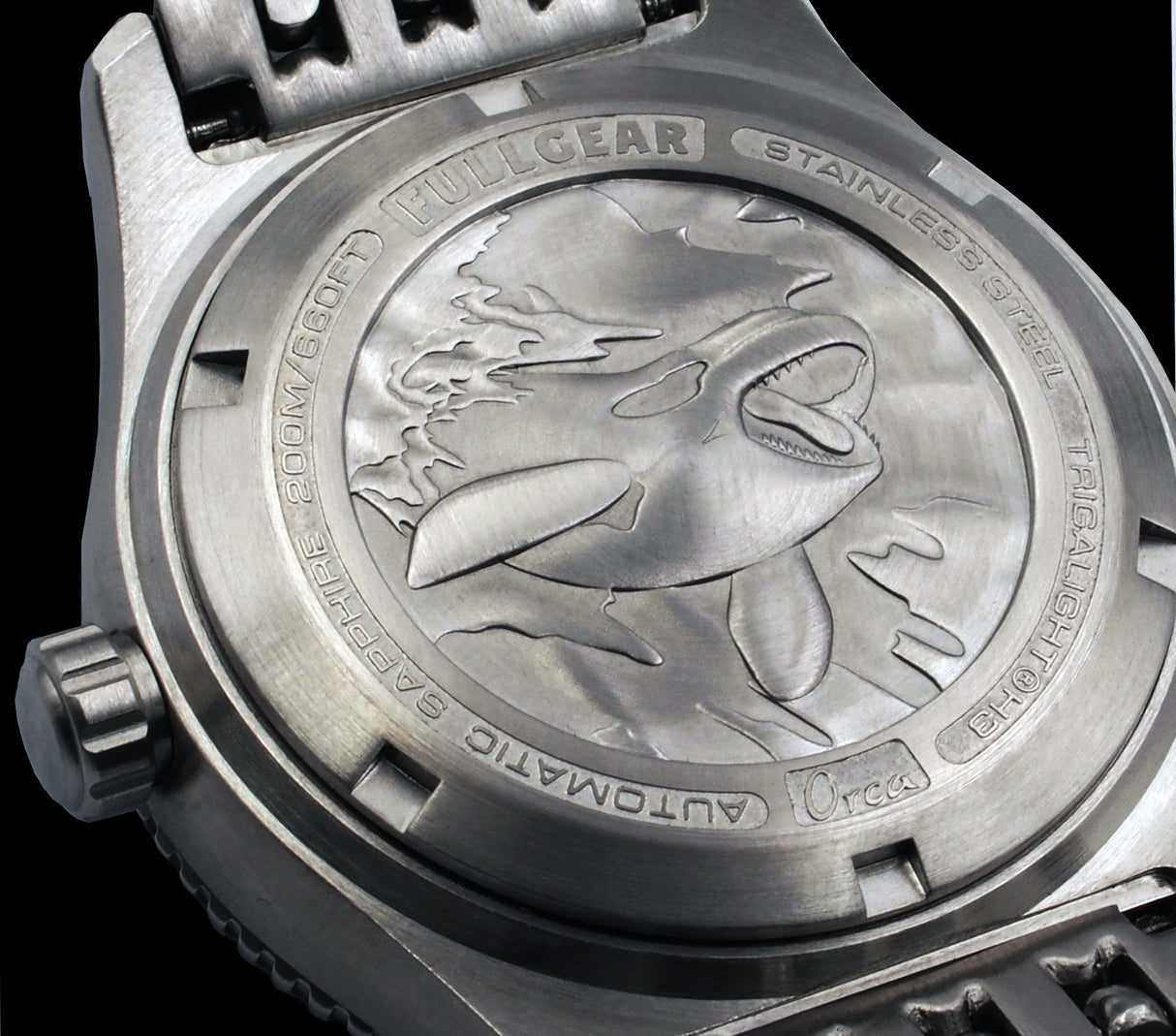 Orca Salmon